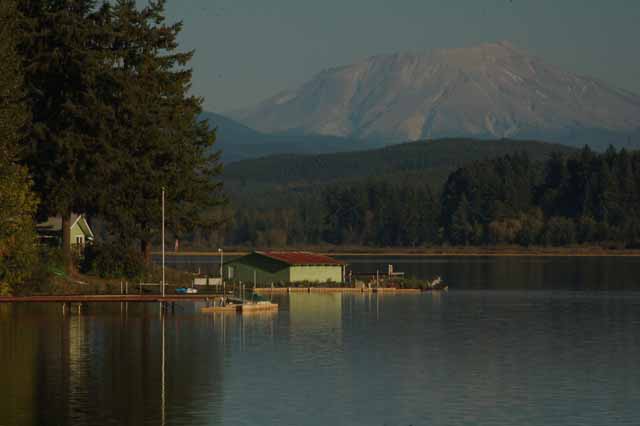 Silver Lake and MSH